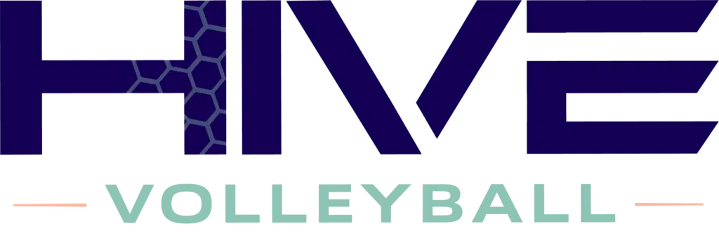 Hive Volleyball Logo
