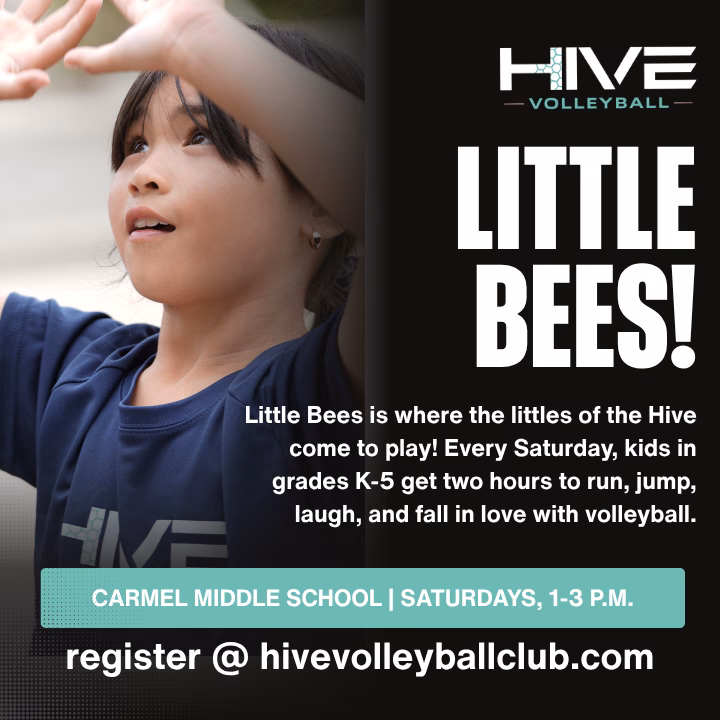 littlebees-volleyball